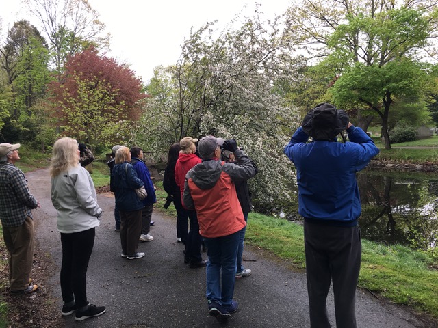 FOG Guided Birdwalk - May 13, 2018